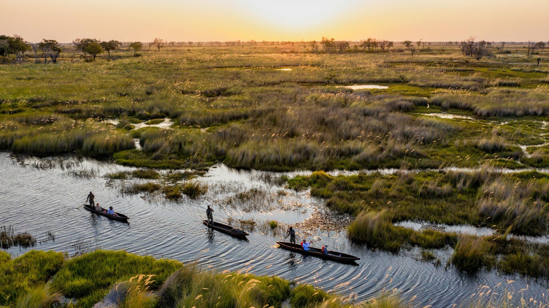 Botswana Safari Tours: The Complete Guide for 2026