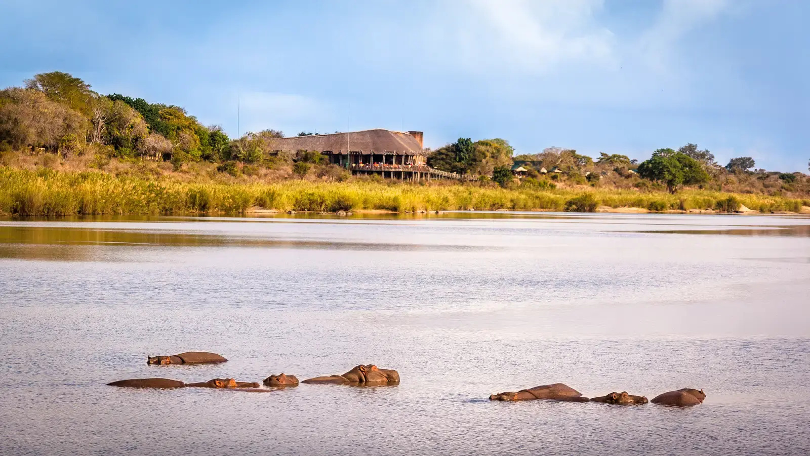 A charming SANParks rest camp with thatched rondavels overlooking the bush and river