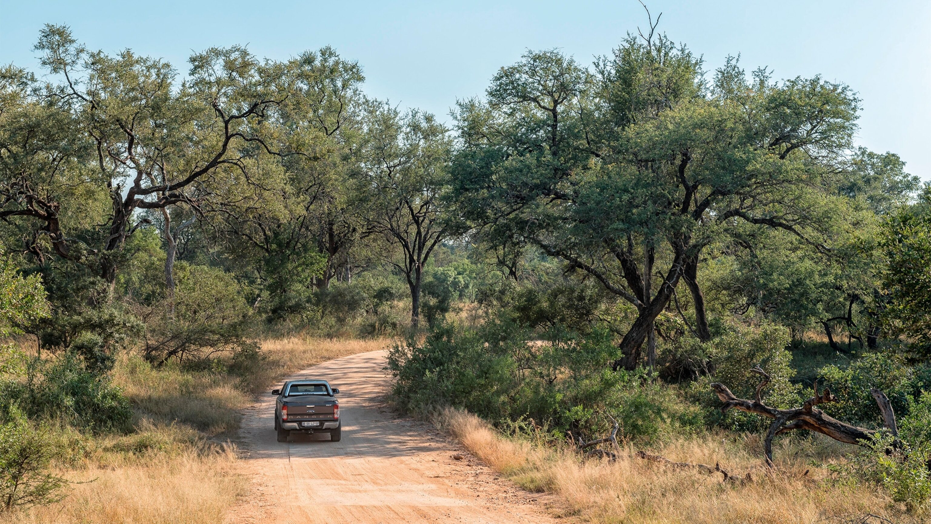 Budget African Safari Tours: How to Experience the Wild Without Breaking the Bank
