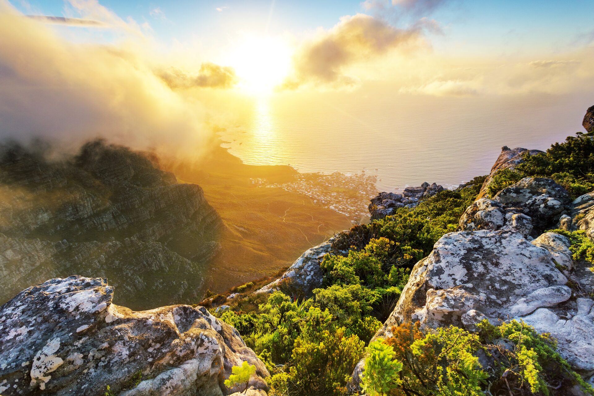 Gay-Friendly Cape Town & Safari Combo: The Ultimate 2026 Itinerary