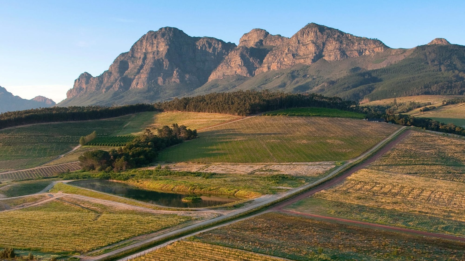 The Cape Winelands near Stellenbosch — vineyards stretching to dramatic mountain peaks, a perfect half-day detour from Cape Town