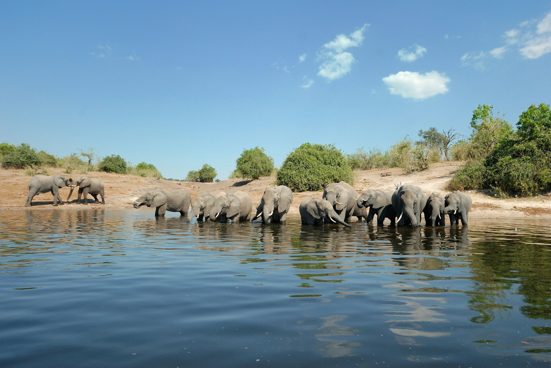 Chobe National Park Safari Guide 2026: Botswana’s Elephant Paradise