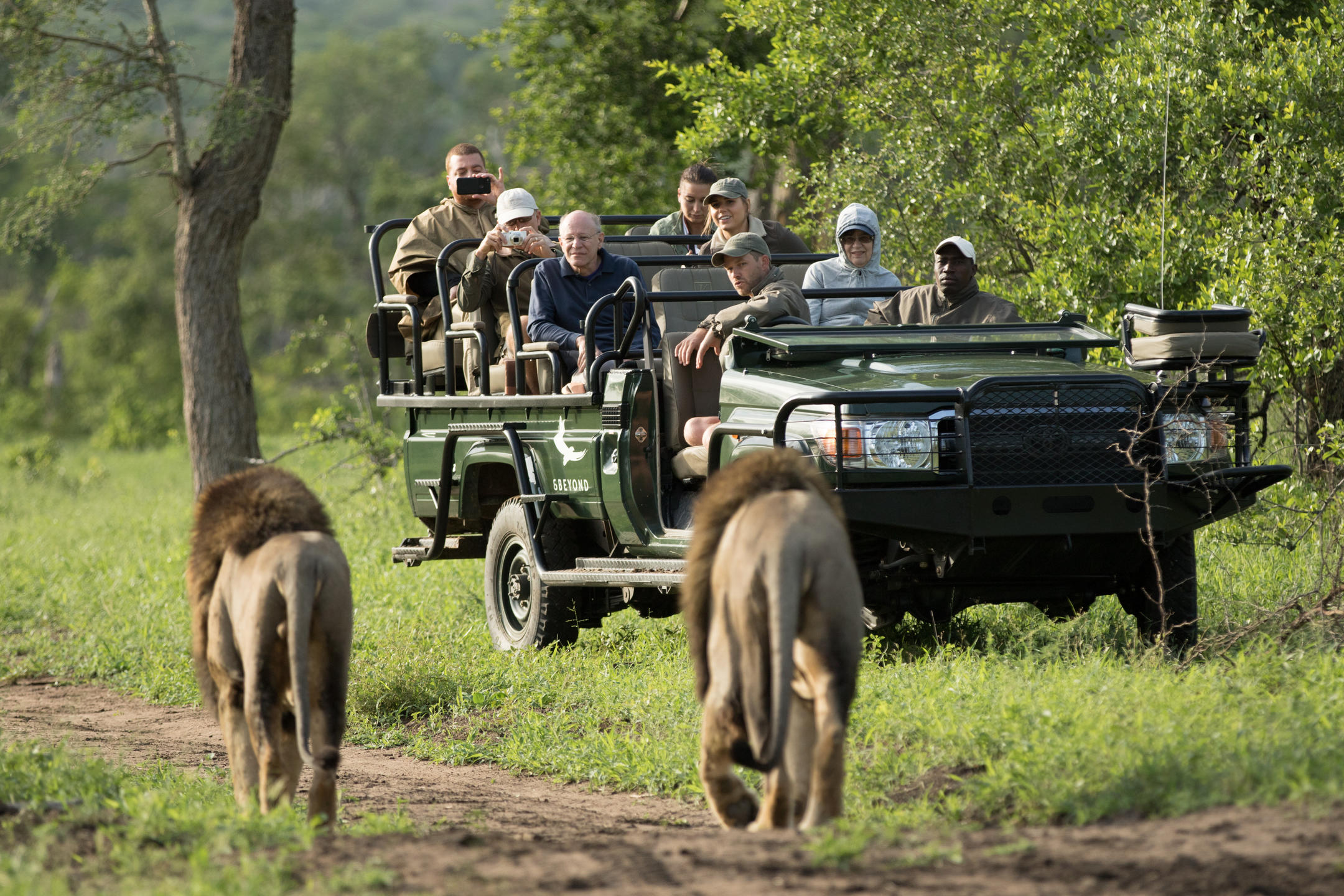 Safari with Kids: The Complete Family Guide to South Africa (2026)
