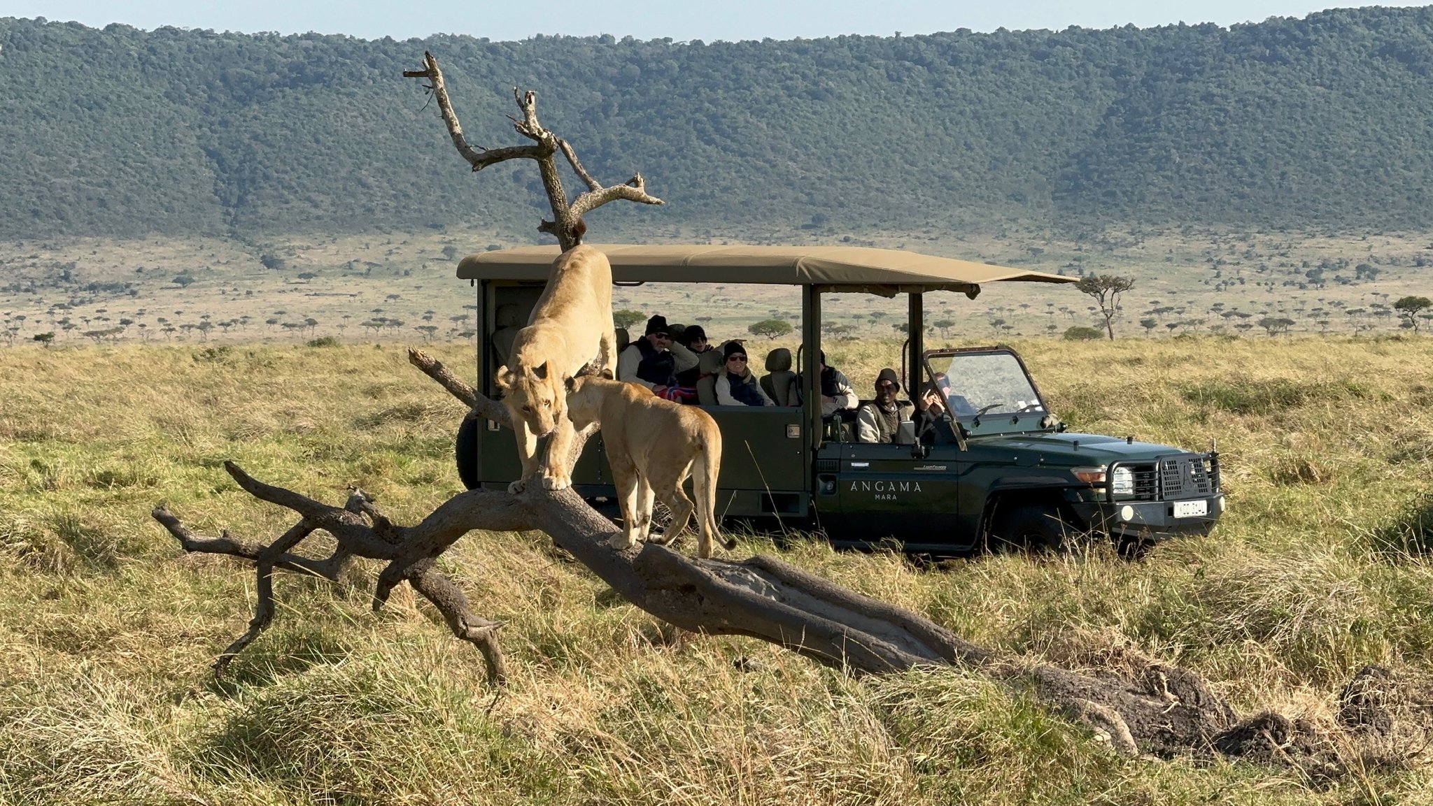 Small Group Safari Tours in South Africa: Johannesburg, Kruger & Pilanesberg (2026)