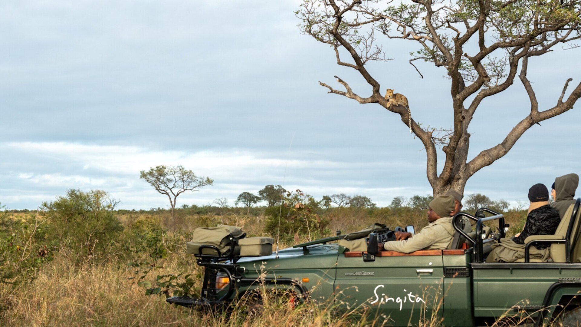 Group Safari Tours in Africa: The Complete Guide to Shared Adventures in 2026
