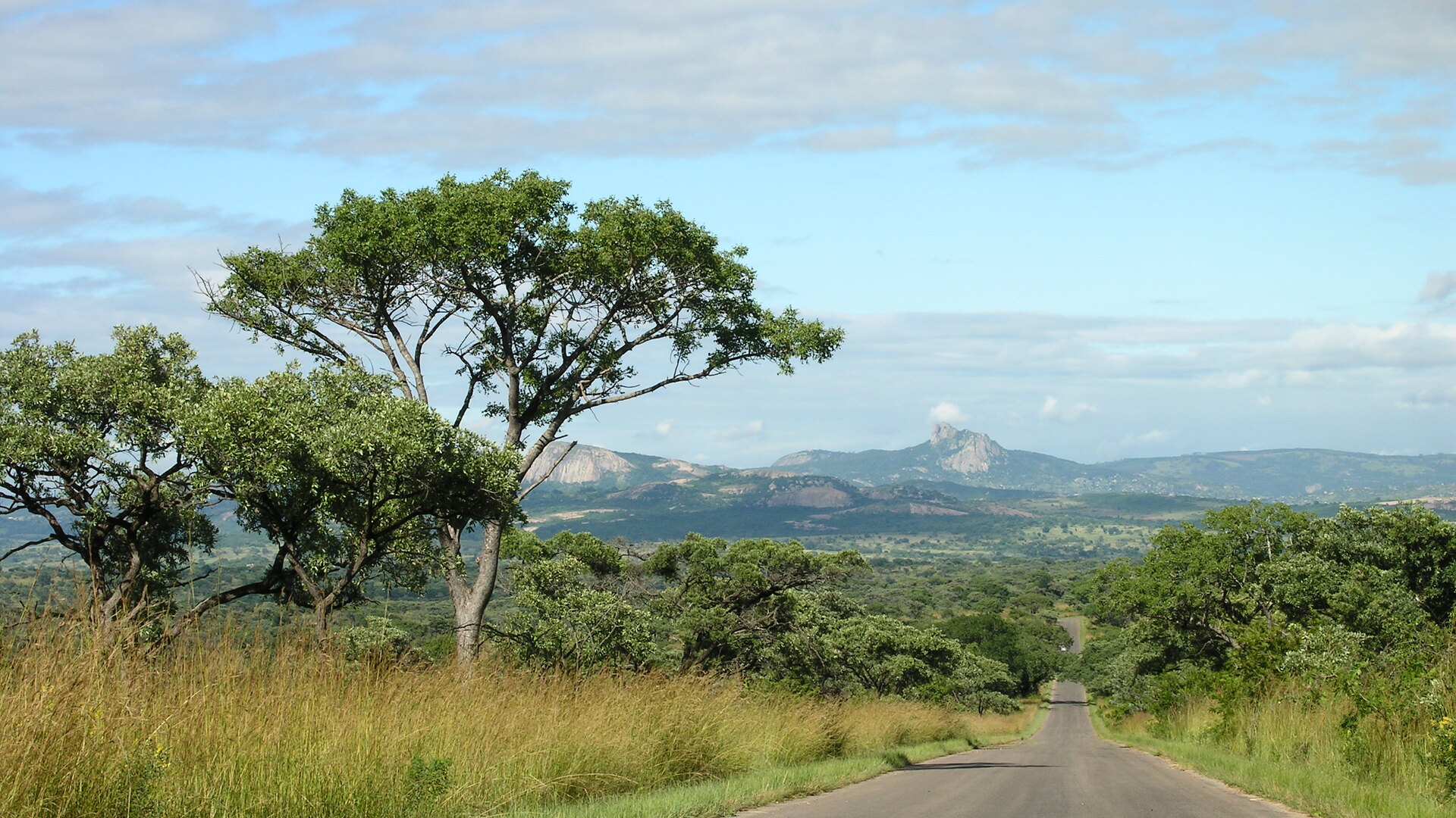 Johannesburg to Kruger Safari: Complete Travel Guide (2026)