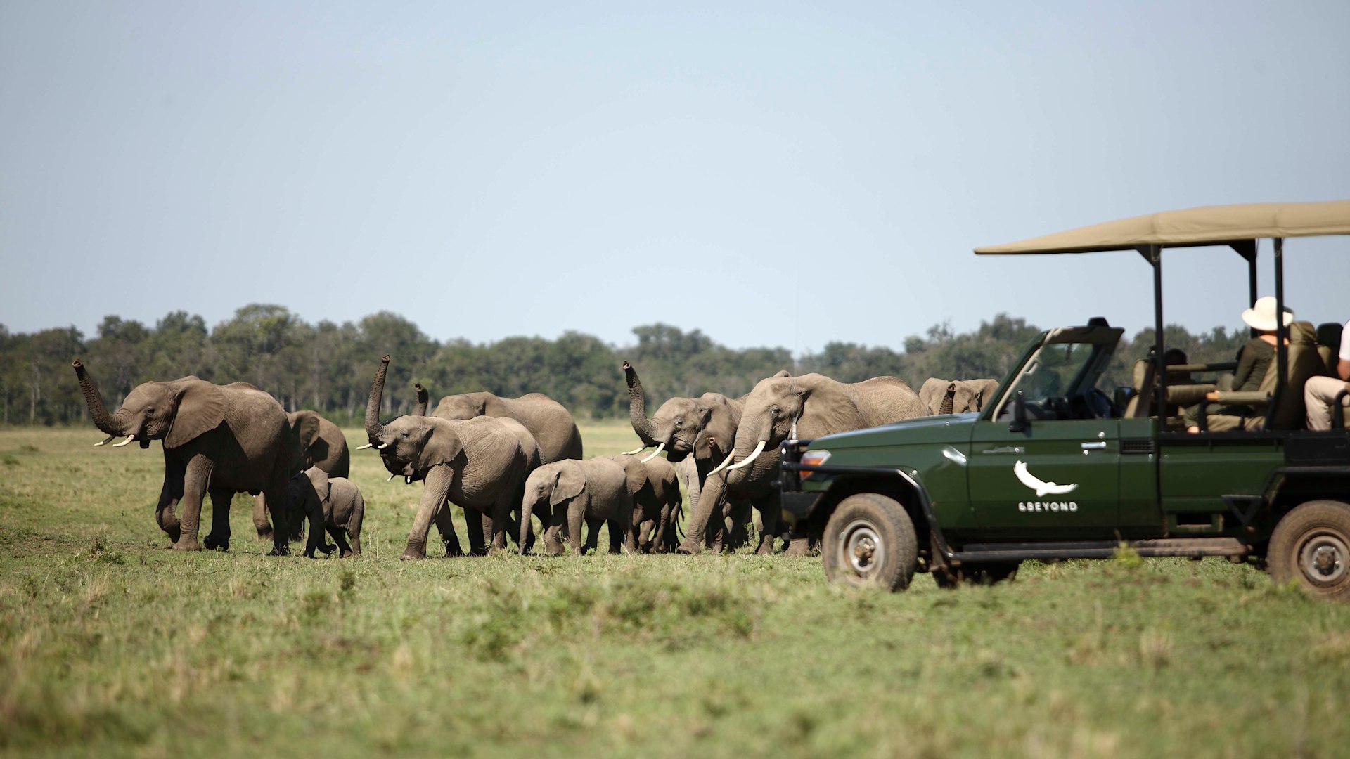 Kenya Safari Tours: The Complete Guide for 2026