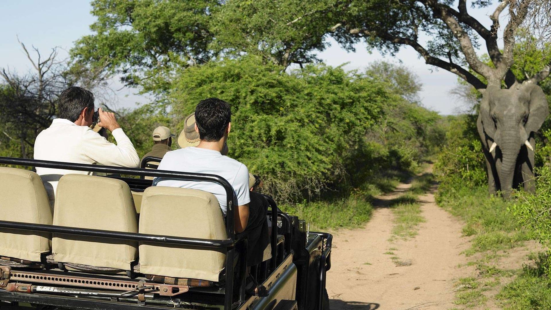 LGBTQ+ Safari FAQ: Everything Queer Travellers Ask About African Safaris (2026)