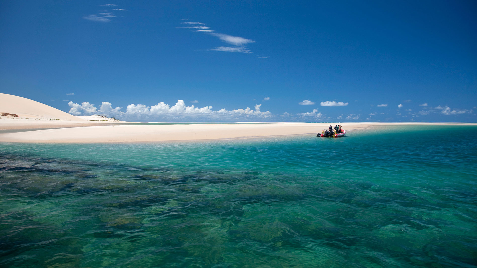 Mozambique Beach & Safari Tours: The Complete Guide for 2026