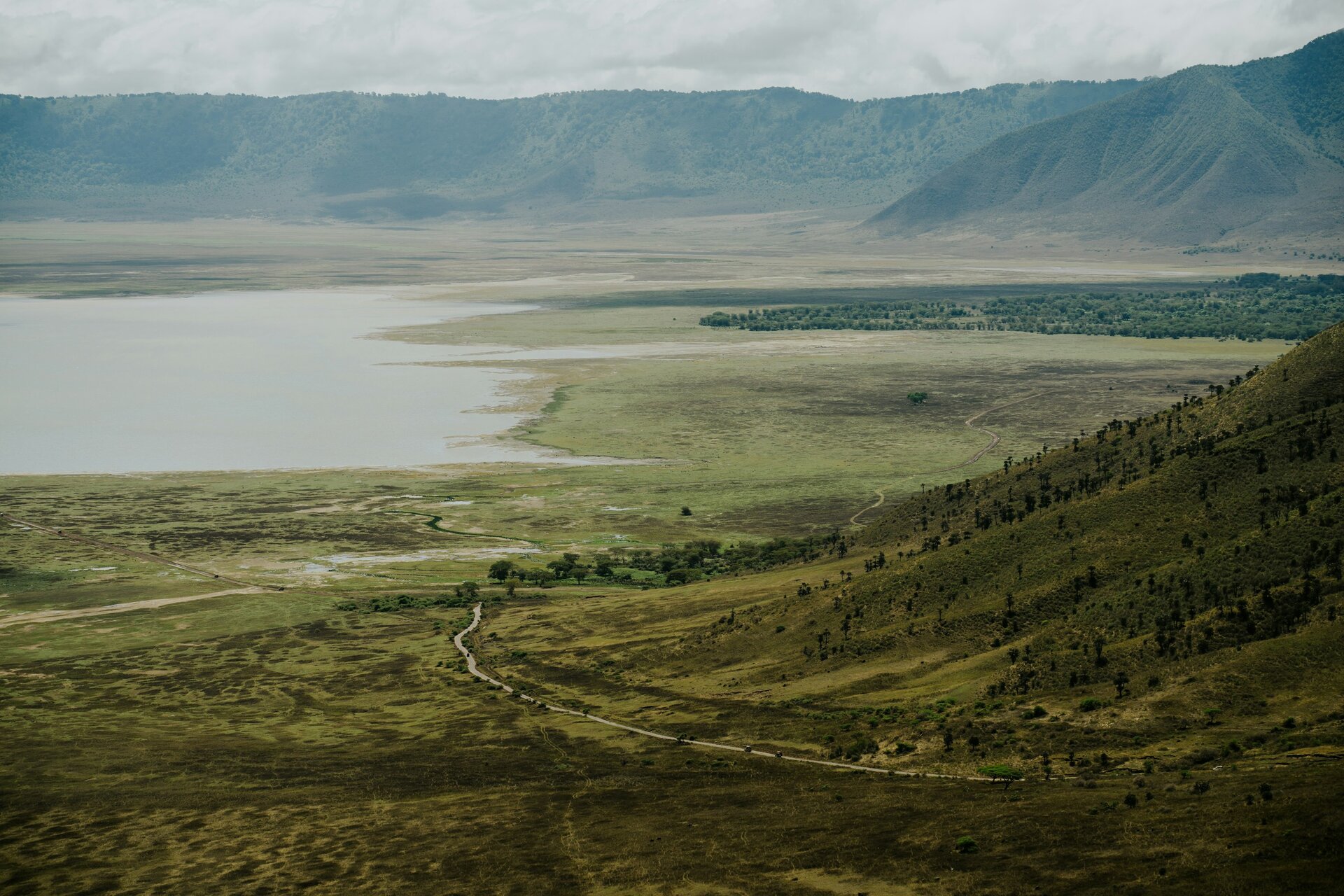 Ngorongoro Crater Safari Guide 2026: Africa’s Garden of Eden