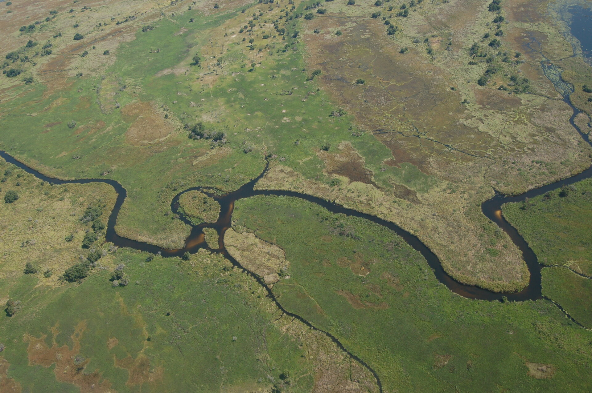 Okavango Delta Safari Guide 2026: Botswana’s Water Wilderness