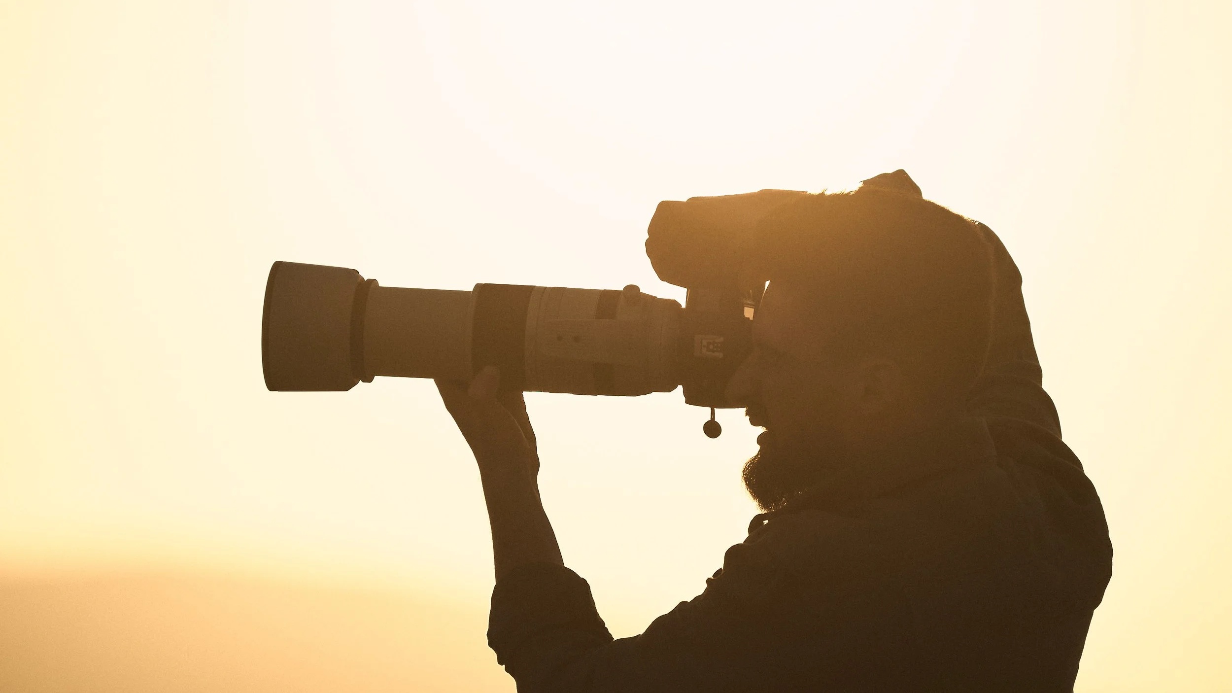 Photography Safari Tours in Africa: Capture the Wild in 2026