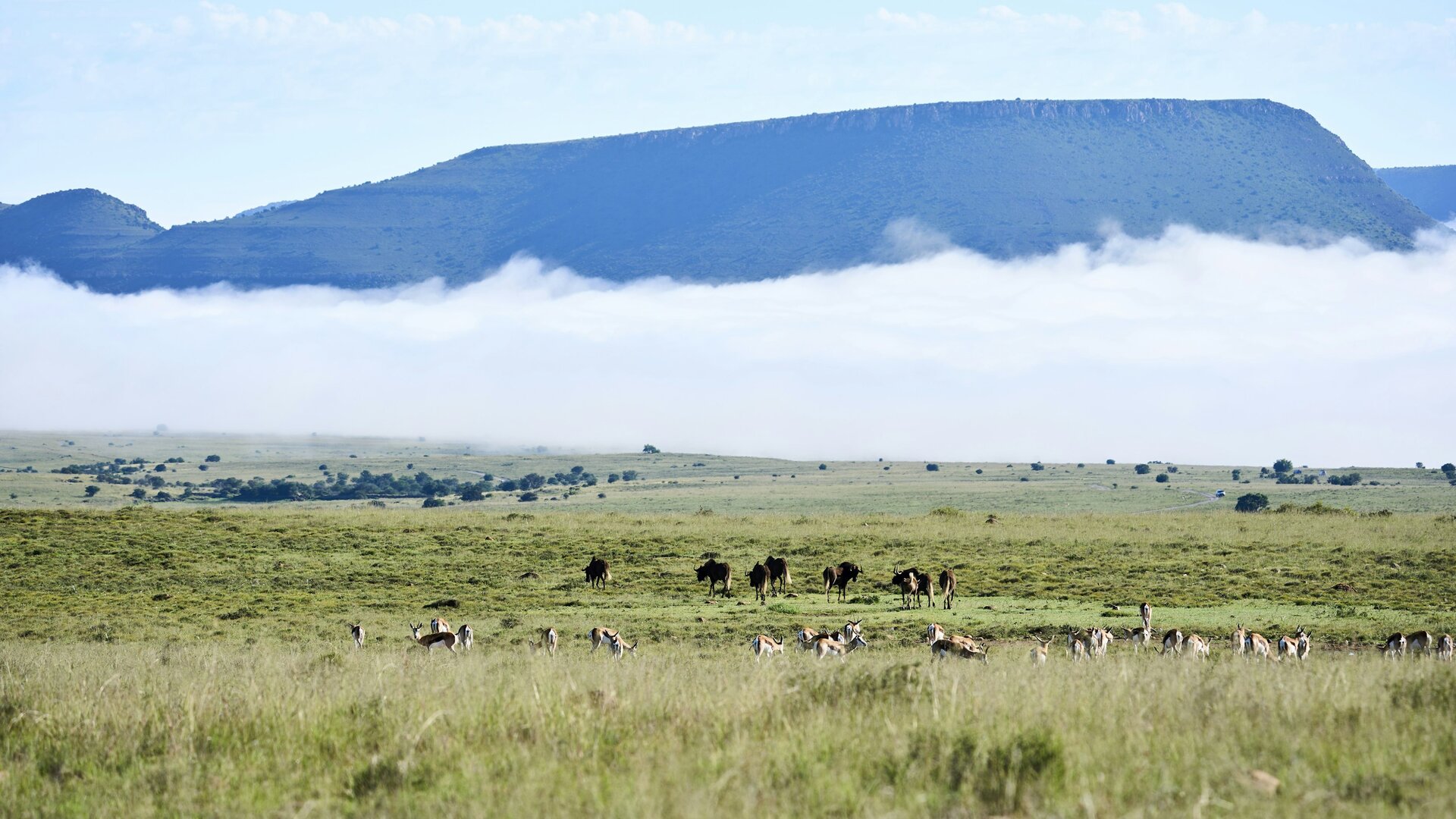 Pilanesberg National Park Safari Guide 2026: Malaria-Free Big Five Near Johannesburg