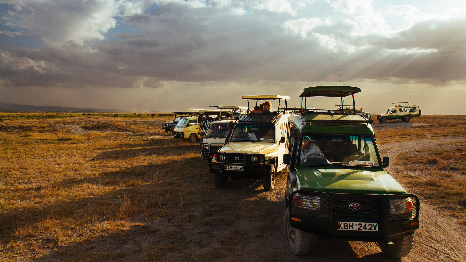 Private African Safari Tours: Your Own Vehicle, Guide & Pace