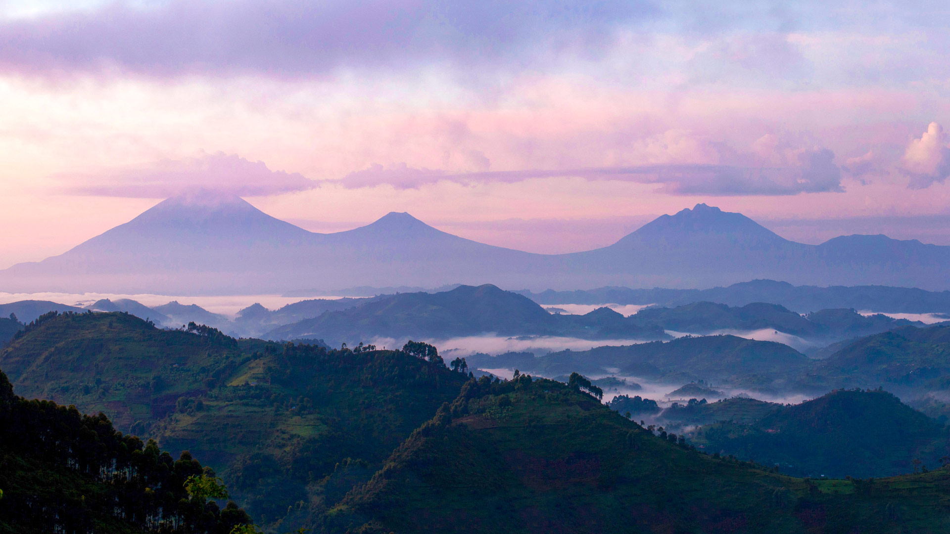 The Virunga volcanic mountains rising above Rwanda's misty green hills at sunrise — the Land of a Thousand Hills