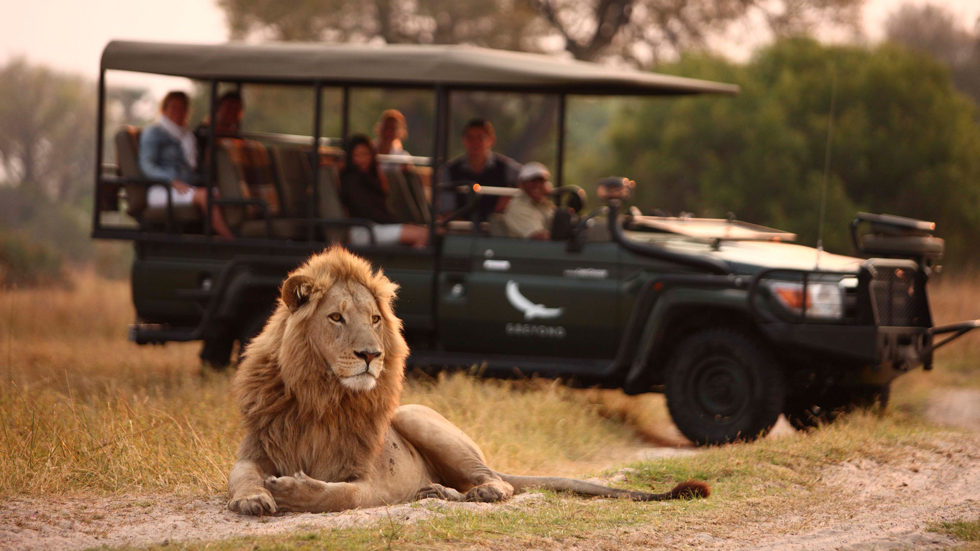 How Much Does a Safari Cost in South Africa? Honest 2026 Pricing Guide