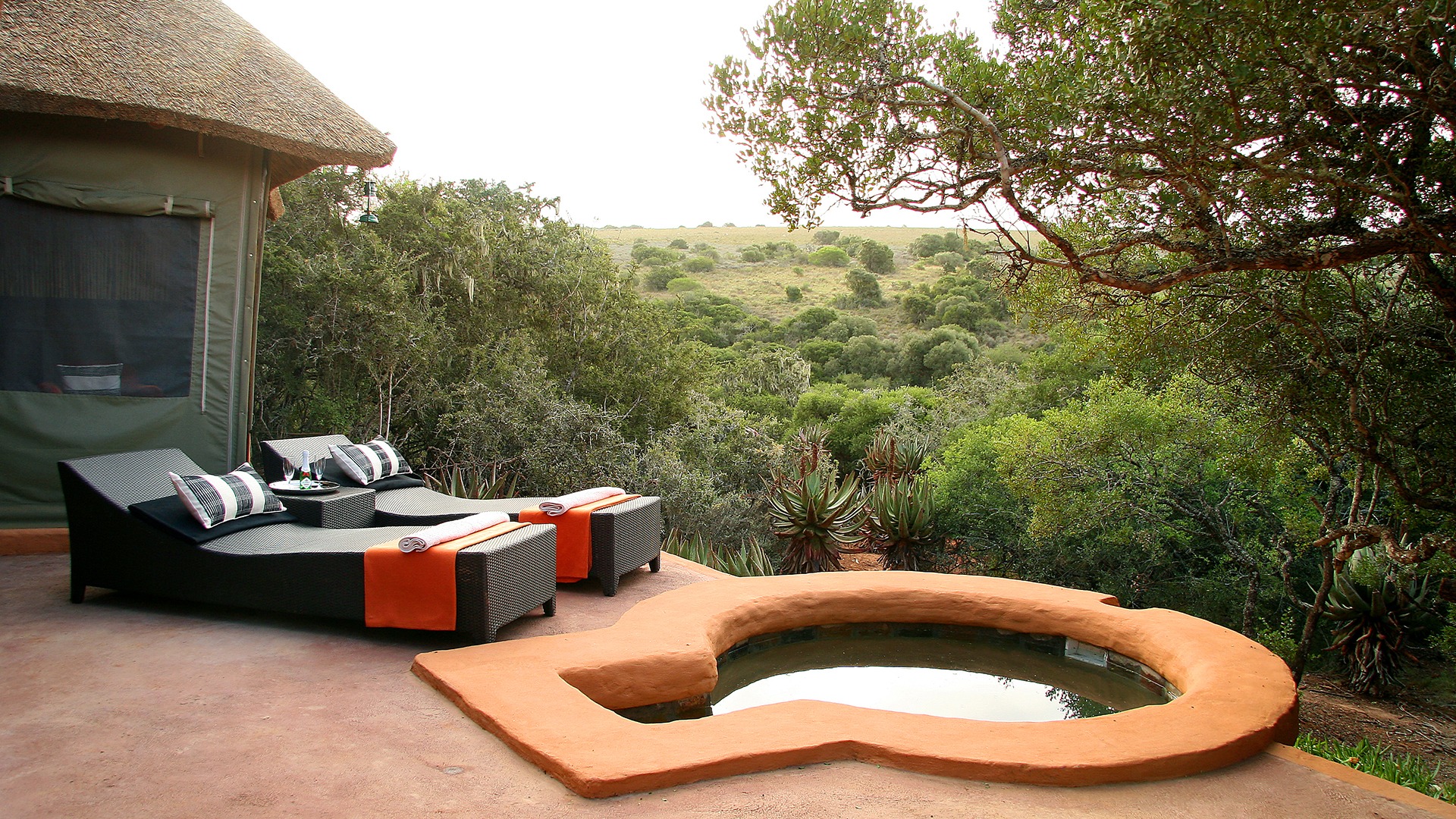 Best Safari Lodges with Private Pools in South Africa (2026)
