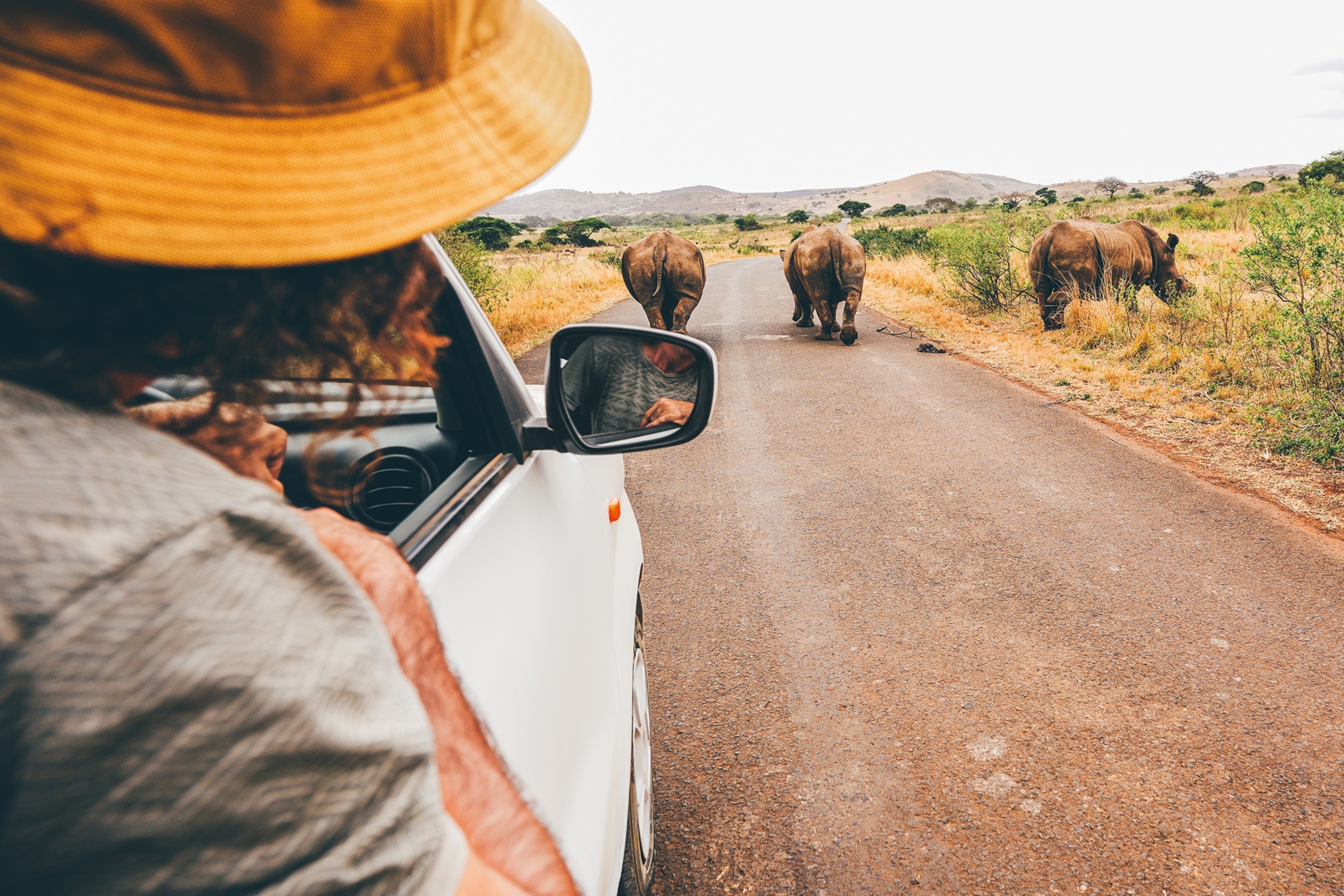 Self-Drive vs Guided Safari in South Africa: Which Should You Choose? (2026)