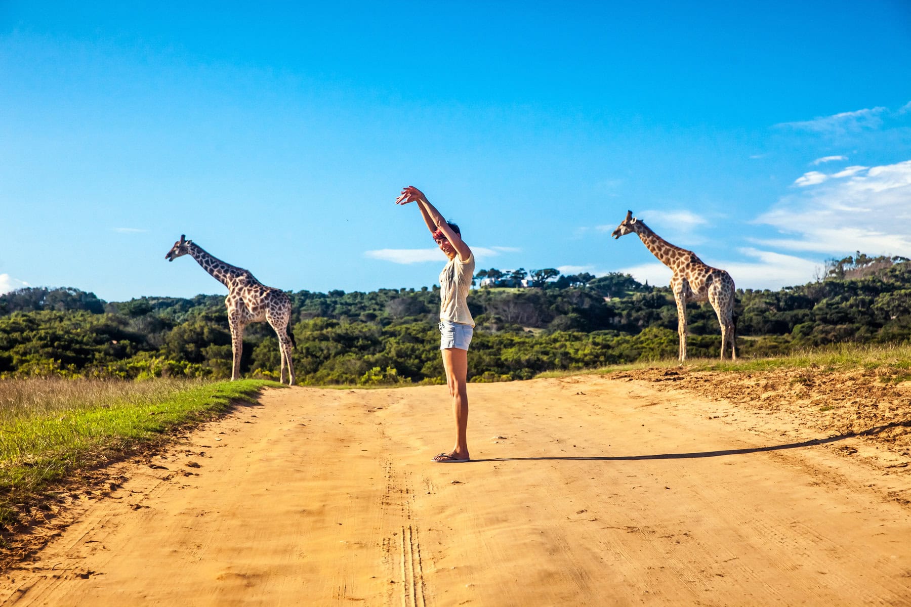 Solo Safari Tours in Africa: The Ultimate Guide for Independent Travellers in 2026
