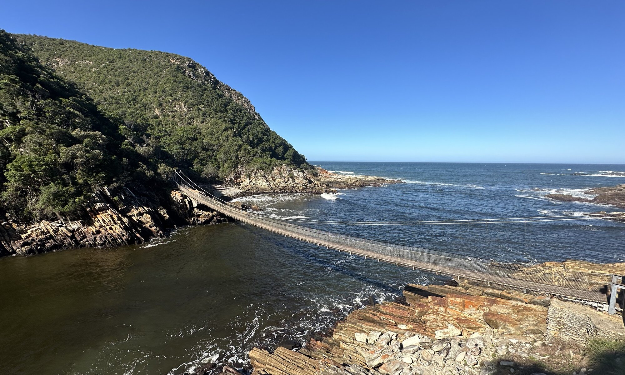 Garden Route Tours: The Complete 2026 Road Trip Itinerary (Cape Town to Storms River)
