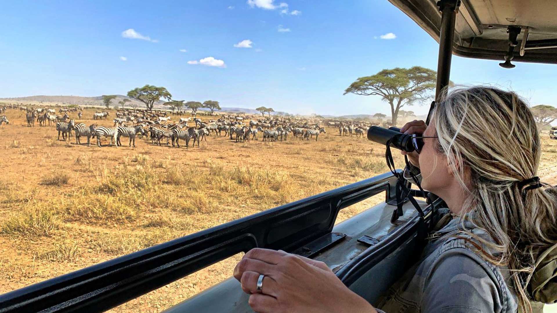 A woman on a safari game drive looking through binoculars at a herd of zebra on the savannah