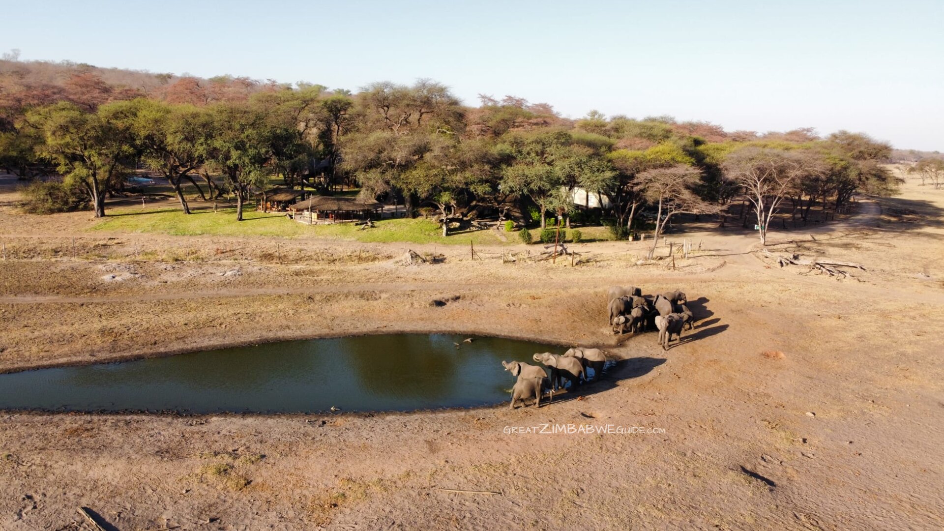 Zimbabwe Safari Tours: The Complete Guide for 2026