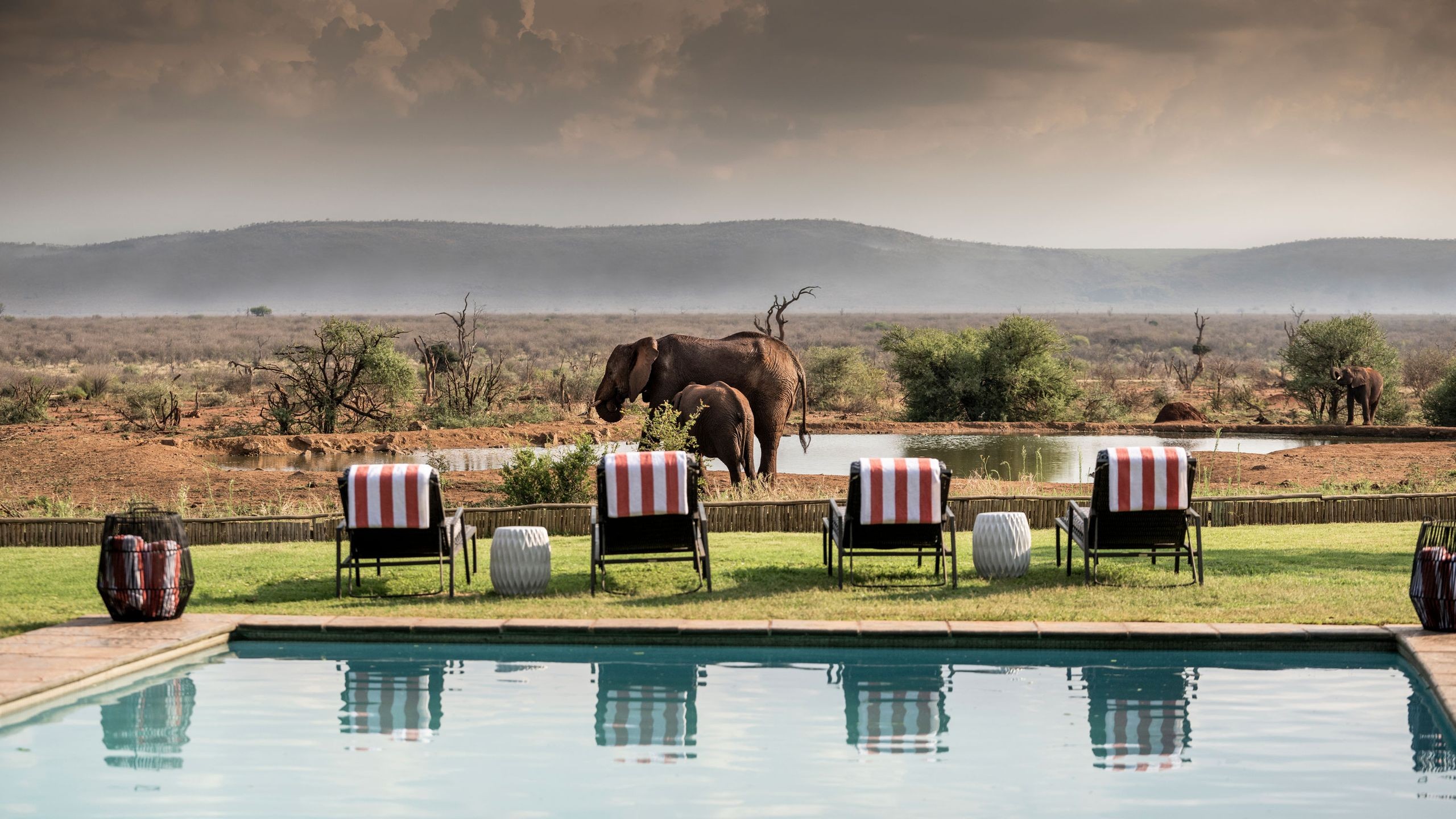 Madikwe Safari Lodge
