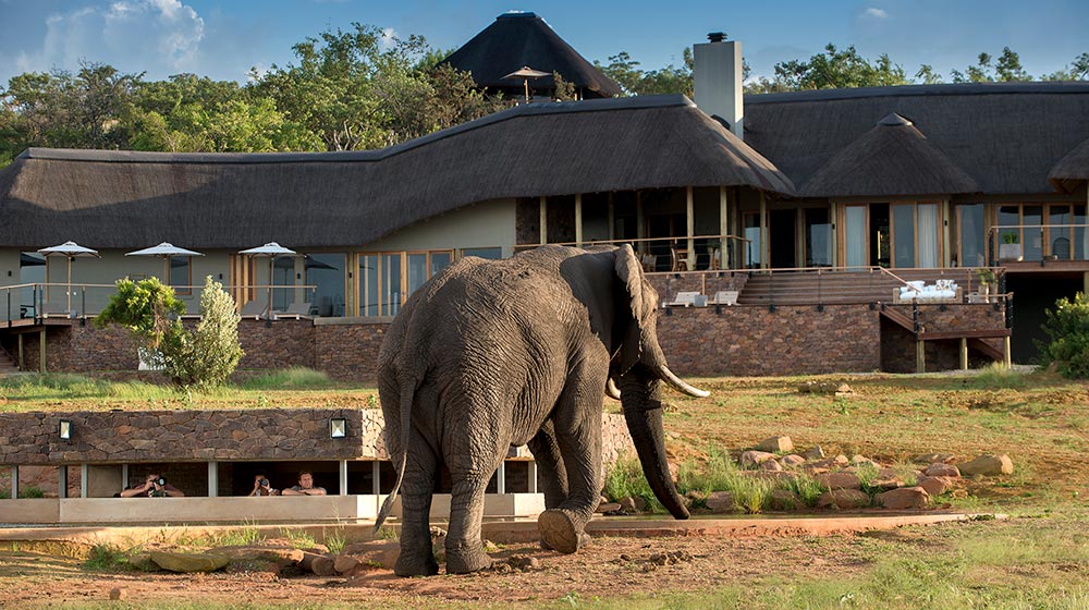 Mhondoro Safari Lodge & Villa