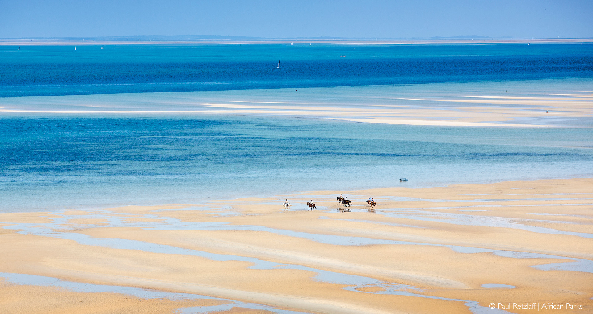 Mozambique safari destination