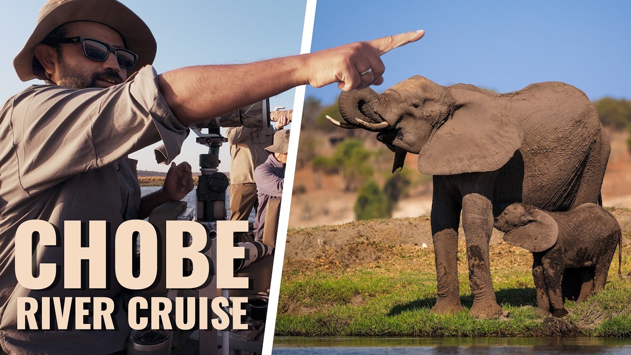 3-Day Chobe River Safari