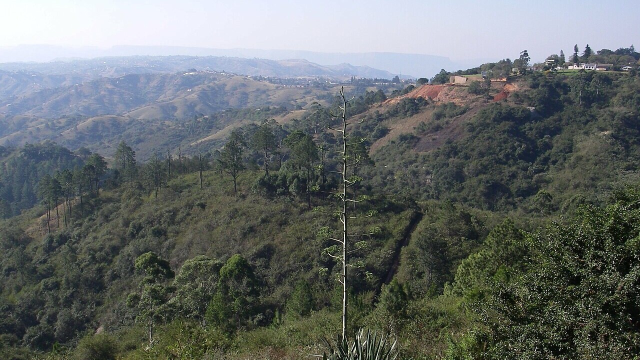 Valley of a Thousand Hills & Zulu Culture