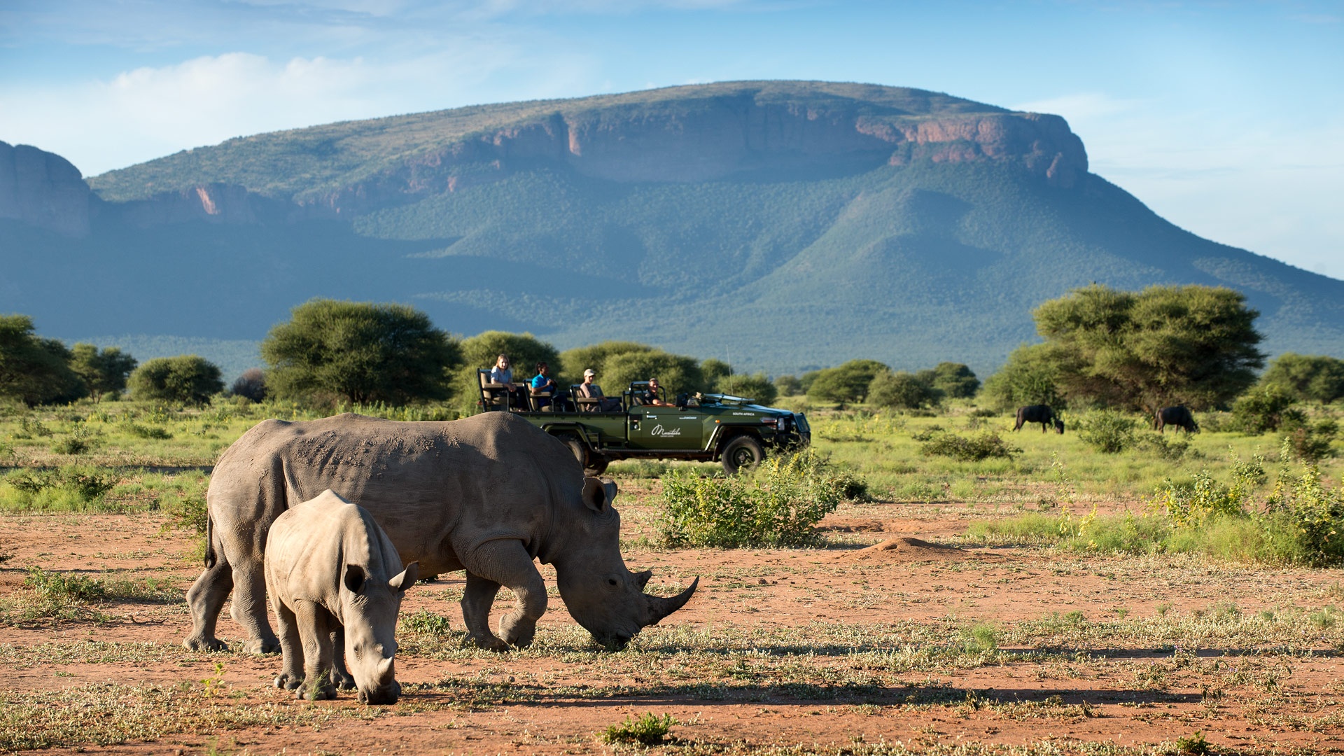 Waterberg Big 5 & Bushveld Experience